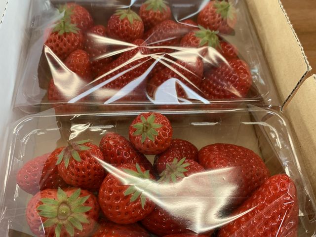 いちご♪_前田いちご園