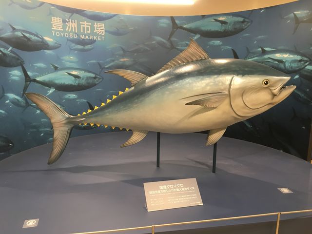 豊洲市場_豊洲市場