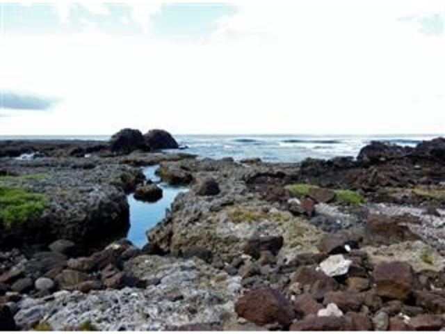 「タチジャミ自然公園:海岸」(久米島)_タチジャミ(立神)