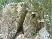 JOEさんの矢筈城跡の投稿写真1