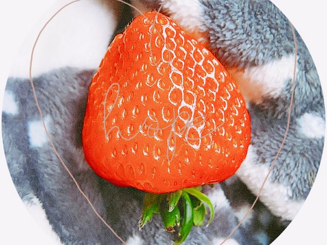大きな苺
とても美味しかったです_いちご農園 雅ファーム
