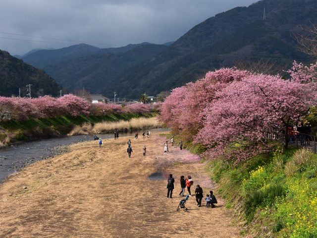 河津川_河津川