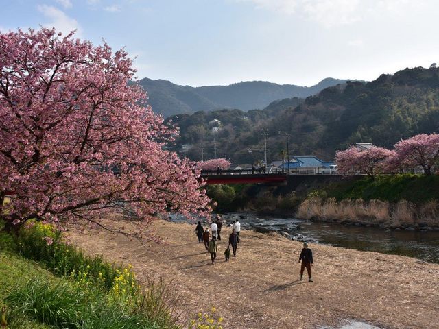 河津川_河津川