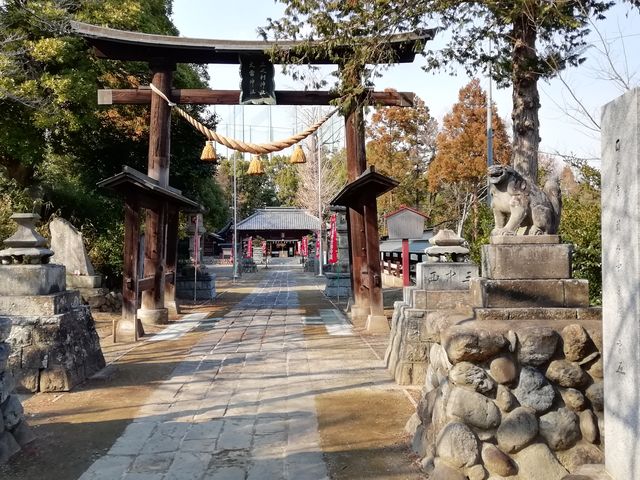 木製のどっしりした鳥居をくぐってすすむ
_上之村神社・大雷神社