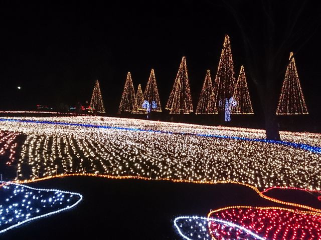 広い公園一帯がイルミネーションに!_国営木曽三川公園・木曽三川公園センター