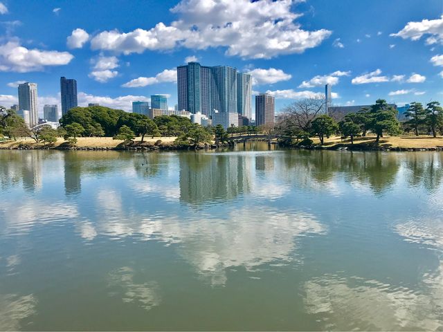 【浜離宮恩賜庭園】汐入りの池と空と汐留のビル_浜離宮恩賜庭園