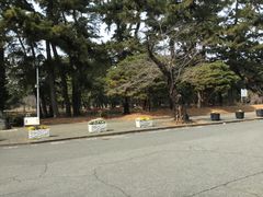 esmさんの敷島公園への投稿写真1