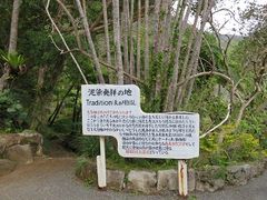 キヨさんの奄美大島紬村への投稿写真1