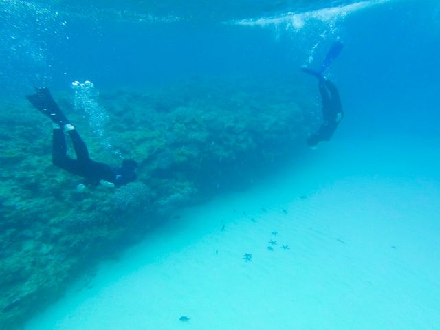 スキンダイビング も教えていただきました^_^_aqua ring