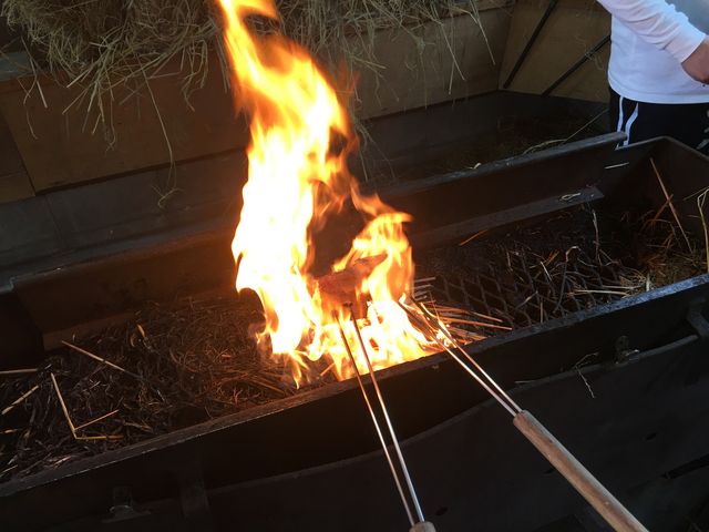 鰹の藁焼き_土佐タタキ道場