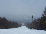 大輔さんの八幡平リゾートパノラマスキー場の投稿写真1