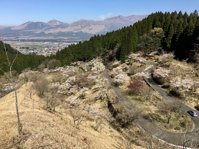 高森峠九十九曲り_高森峠の九十九曲り