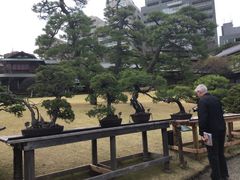 マリオさんの八芳園への投稿写真1