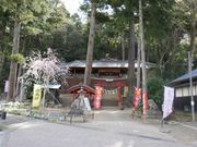 ま〜ぼ〜さんの城下町小幡の投稿写真1