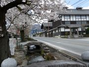 ま〜ぼ〜さんの雄川堰の投稿写真1