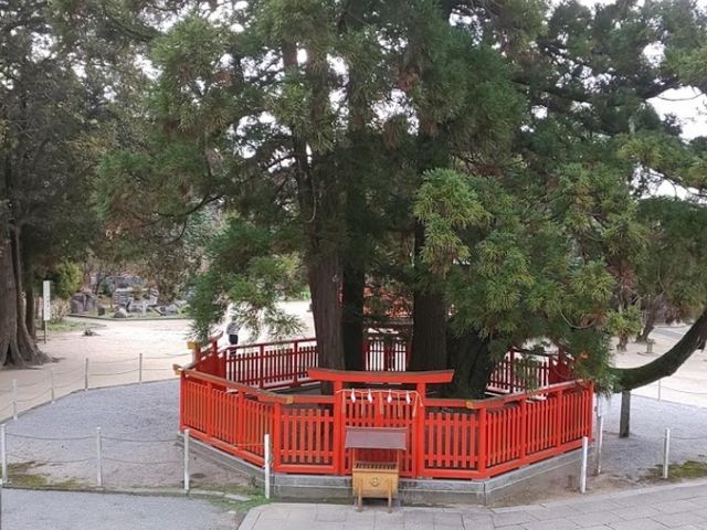 良かった_香椎神社
