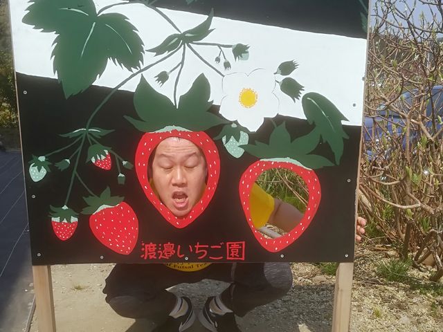 イチゴです_渡邉いちご園