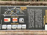 とくちゃんさんの鳴沢の熔岩樹型の投稿写真1