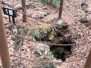 とくちゃんさんの鳴沢の熔岩樹型の投稿写真2