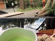 とくちゃんさんの来宮神社 直営お休み処 宮前店の投稿写真2