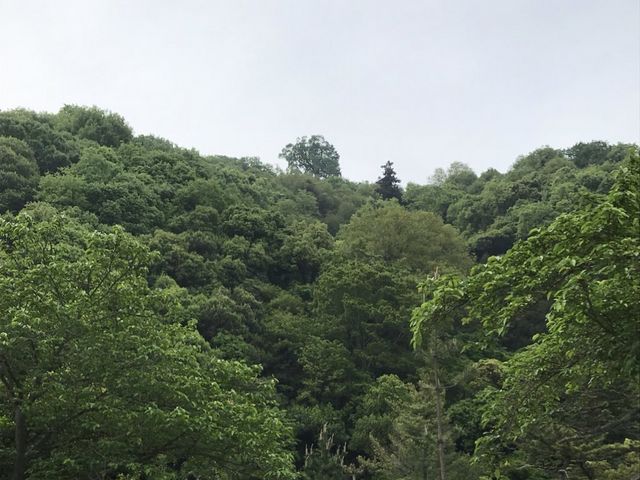 跡地_神辺城跡