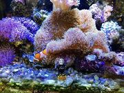 トモさんの宮古島海中公園の投稿写真1