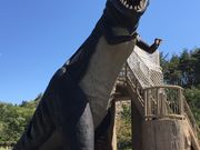 アンさんの道玄池いこいの森の投稿写真1