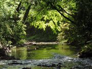 山好きさんの皇都川の投稿写真1