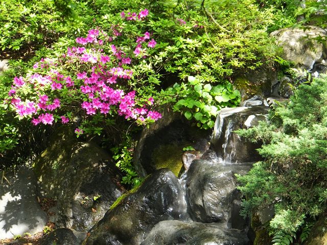 御殿場高原 時之栖 天然温泉 気楽坊