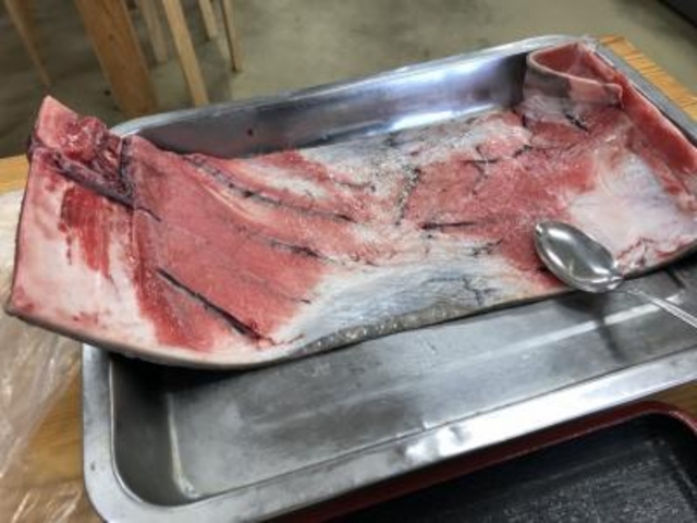 鮪の皮_みなと市場 小松鮪専門店