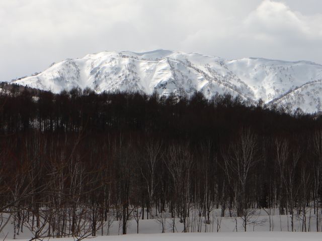 たかちゃんさんの三頭山の投稿写真4