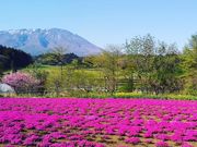 大輔さんの花工房らら倶楽部の投稿写真1