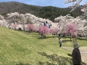 まりーさんの戸倉宿キティパークの投稿写真1