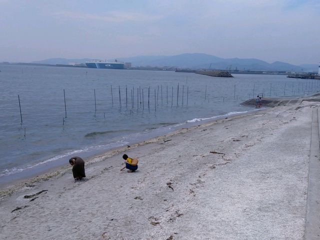 潮が満ちている竹島海岸_潮干狩(竹島海岸)