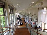 こぼらさんのいび川温泉藤橋の湯の投稿写真1