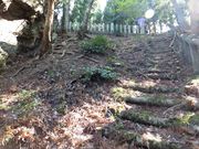 こぼらさんの東海自然歩道の投稿写真1