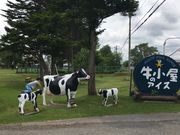 ちゃびこさんの牛小屋のアイスの投稿写真1