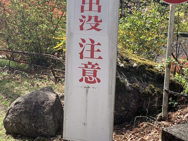 熊は出ませんでしたよ_国民宿舎サンレイク草木