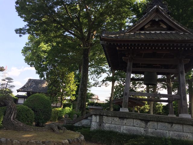 トン太さんの常敬寺の投稿写真3