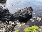 カワさんの寝熊の岩の投稿写真1