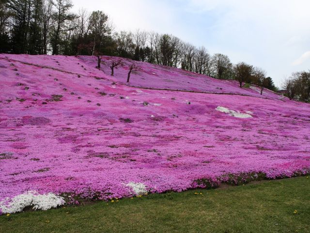 遠軽公園_太陽の丘えんがる公園