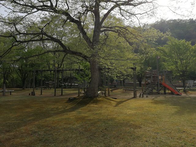 けんなままさんの焼地台公園キャンプ場の投稿写真1