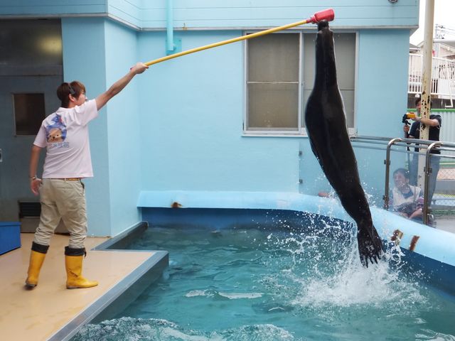 竹島水族館
