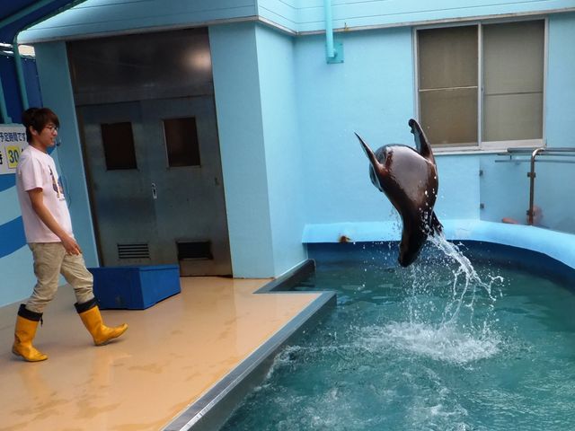 竹島水族館