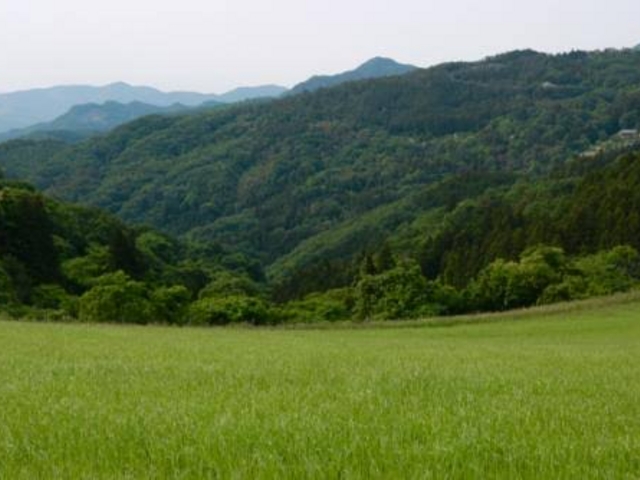 大自然_秩父高原