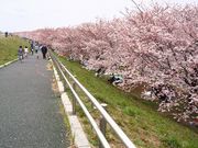 レナさんの戸田公園の投稿写真1