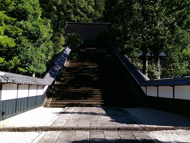 階段_臨済寺