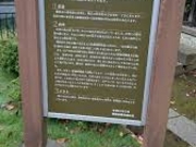 レナさんの広沢の池の投稿写真1