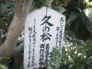 ゆうたさんの玉泉院の投稿写真1