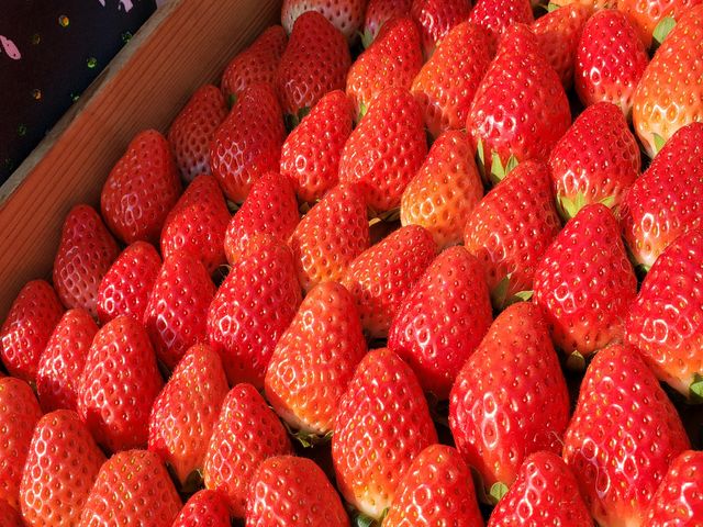 販売用_もんぜん